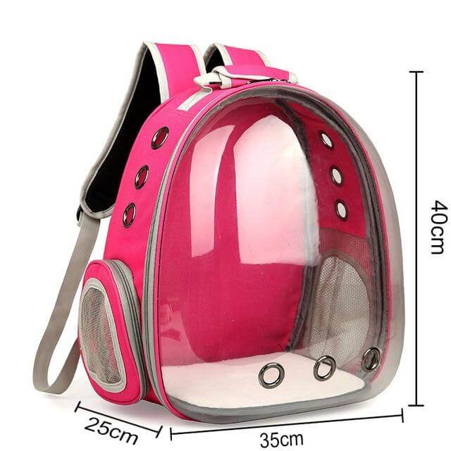 Cat Capsule Carrier Backpack