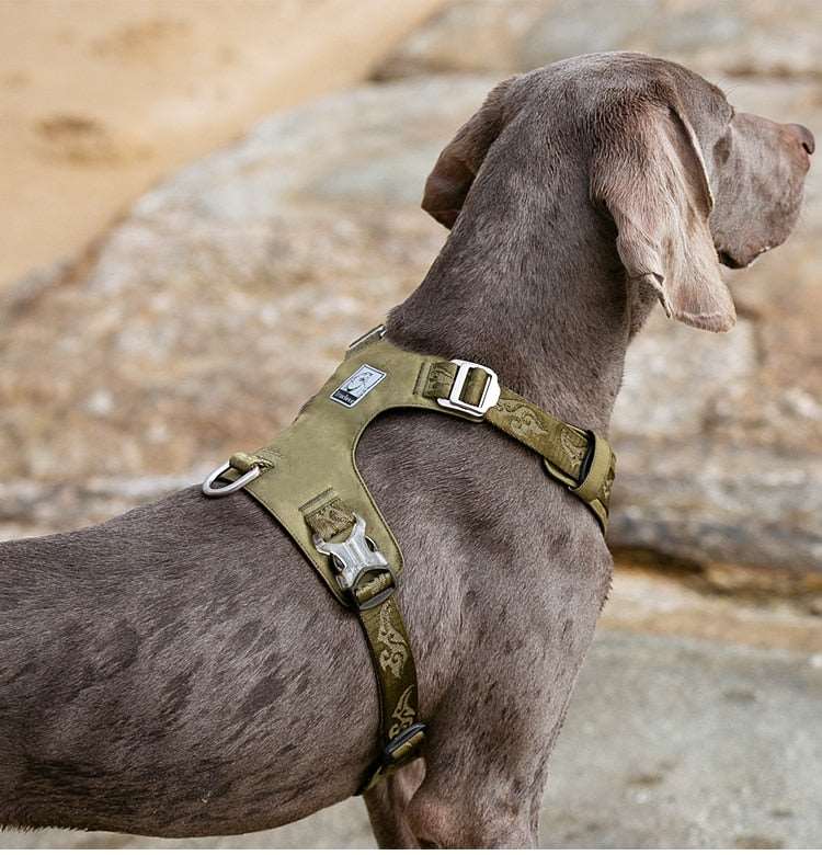 Adjustable Dog Harness Light Weight Various Sizes Australia Dealbest